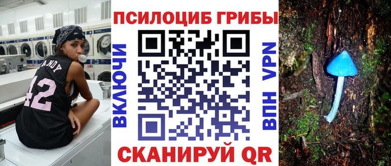 Купить  Новосокольники  Псилоцибиновые грибы ЛСД 